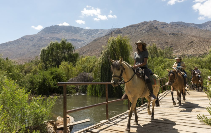 Descubriendo el Valle del Elqui: Aventura, Naturaleza, Vino y Pisco