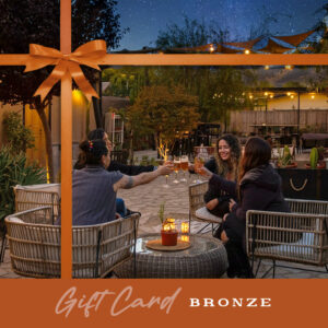 Una Noche de Descanso en el Corazón del Elqui